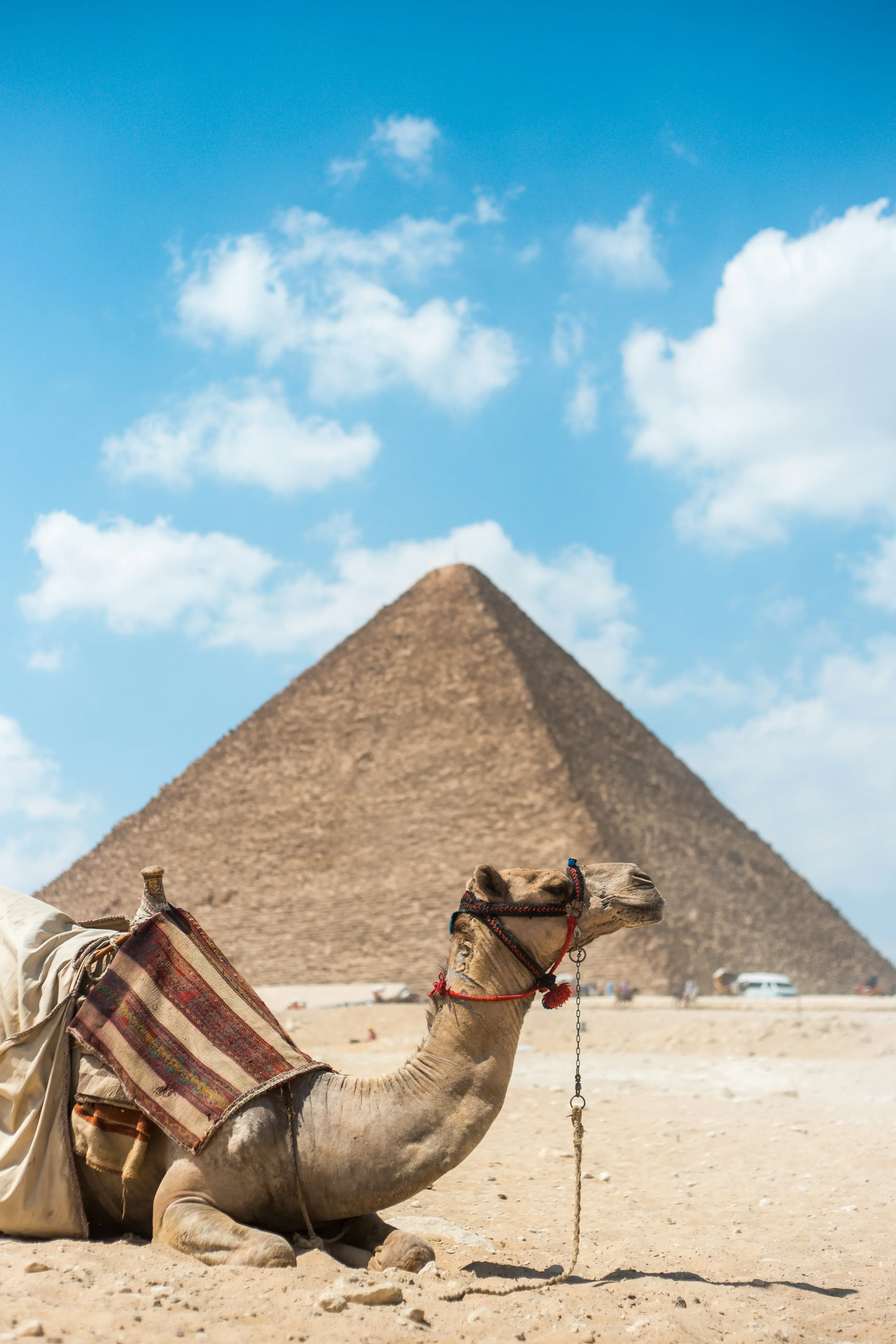 Your Trusted Gateway to Egypt Safe, authentic, and personalized tours.